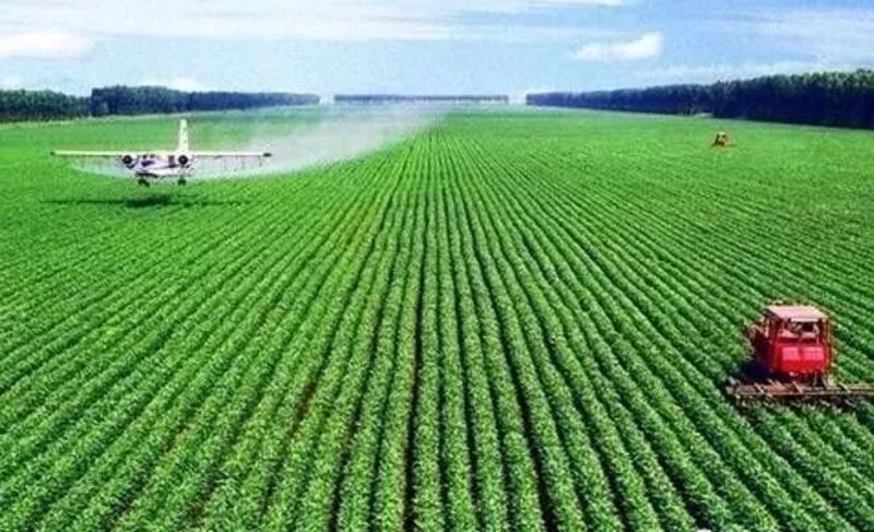 教程指南类:如何有效使用厦门出入境检验检疫技术中心官网