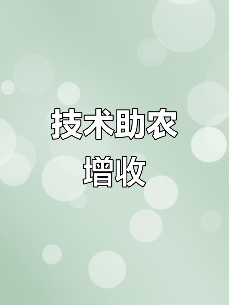 教程指南类：如何高效使用检验检疫技术中心官网