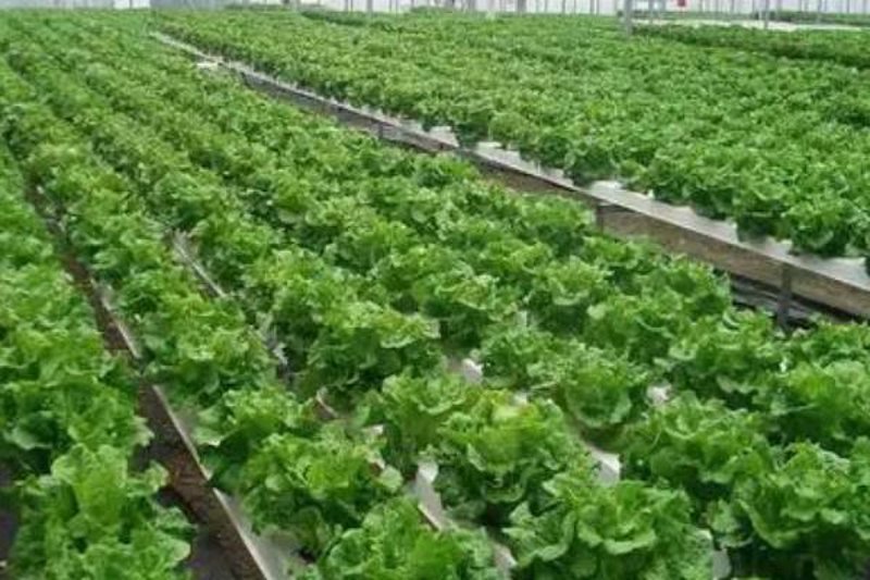 如何高效访问和使用“厦门出入境检验检疫技术中心”官网