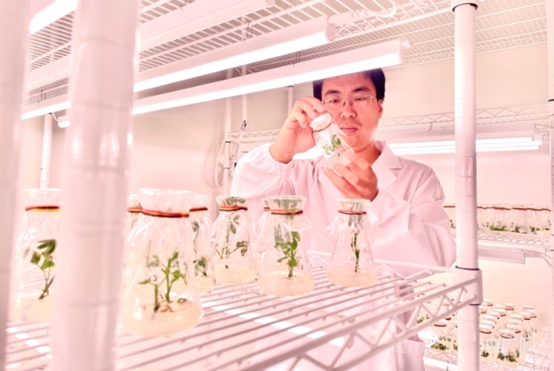 深圳市五州田农业科技开发有限公司的官网版UU加速工具，究竟有何独特之处？