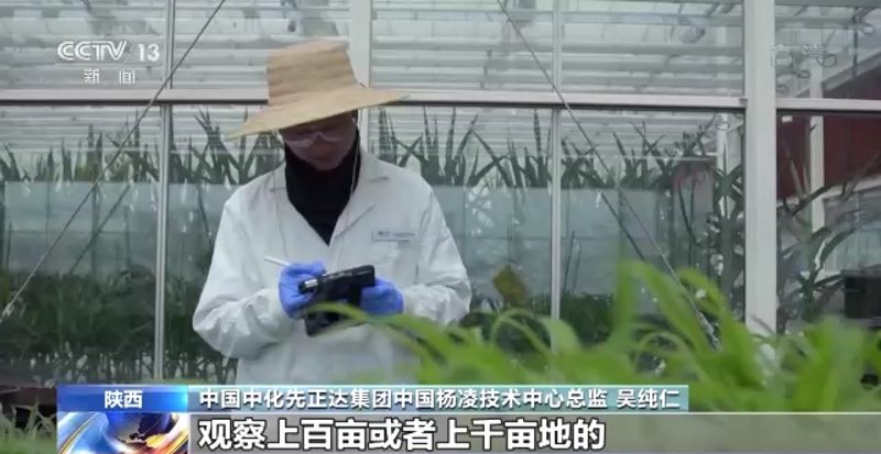 种子研发