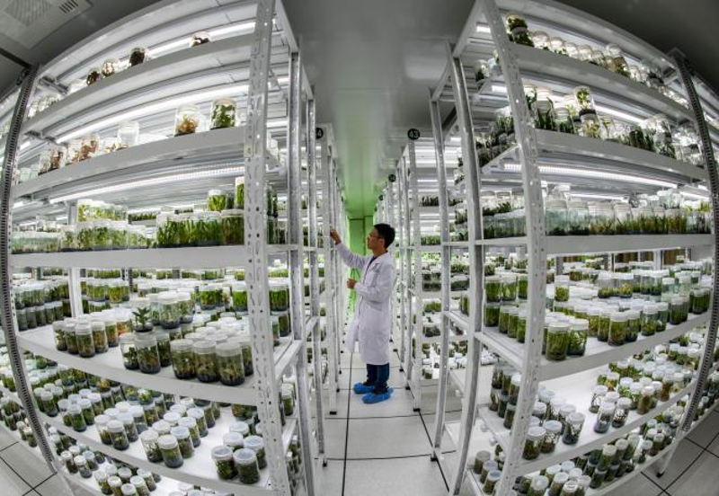 深圳市五州田农业科技开发有限公司官网版UU加速器网页版入口，如何轻松访问？